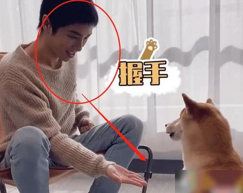 狗子的最新爆料视频,娱乐圈幕后真相大曝光!  第3张 狗子的最新爆料视频,娱乐圈幕后真相大曝光!  第3张